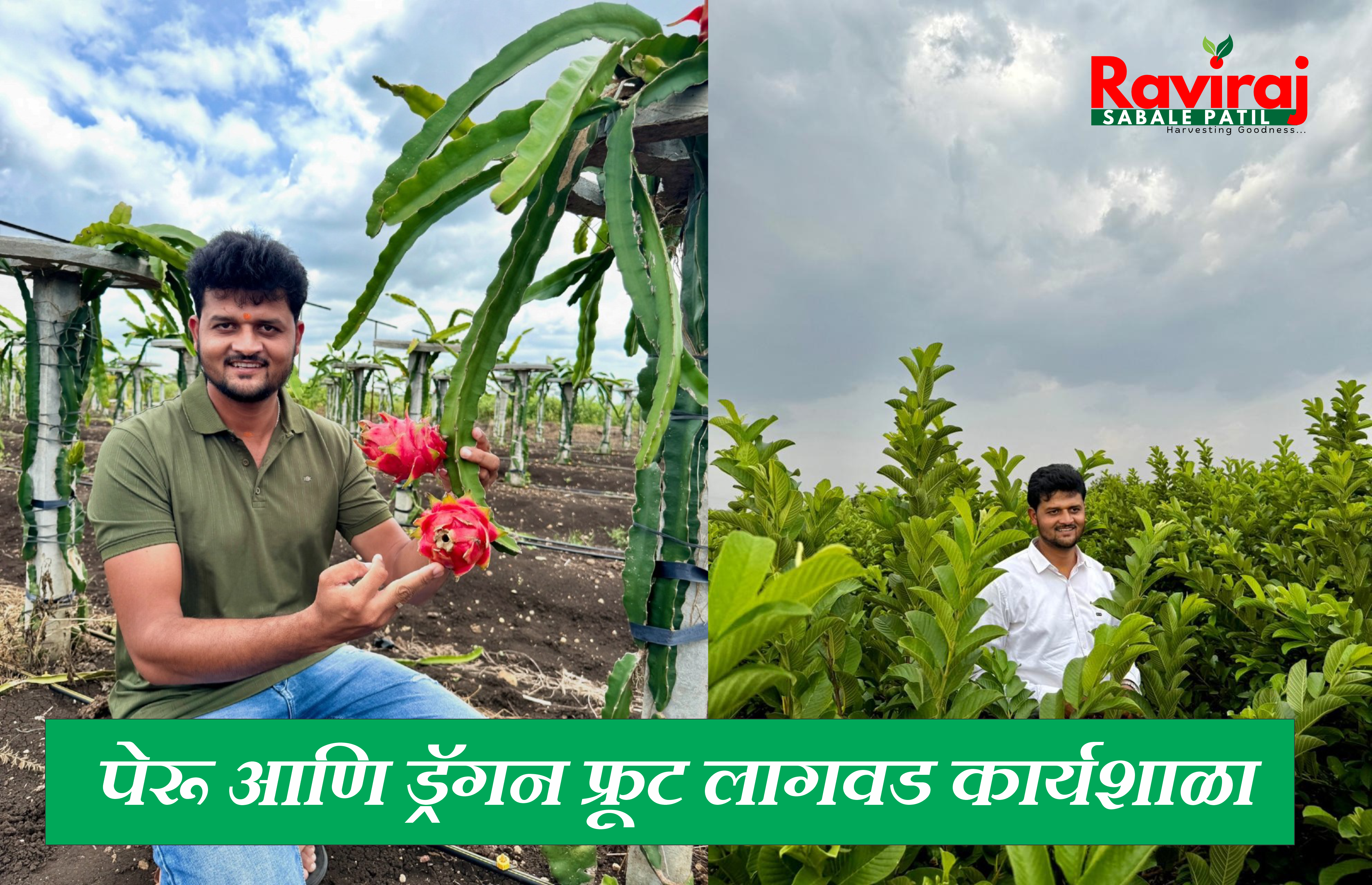 पेरू आणि ड्रॅगन फ्रूट लागवड कार्यशाळा 1 June 2025: यशस्वी शेतीसाठी तज्ञ मार्गदर्शन